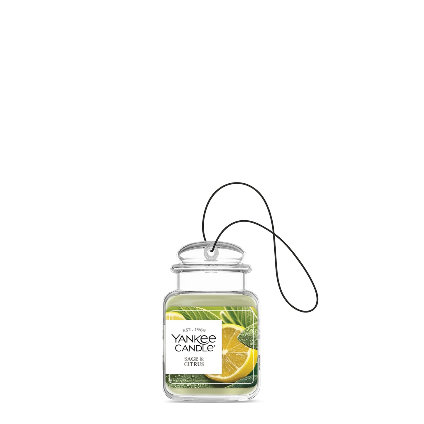 Sage & Citrus Studio 9-0517