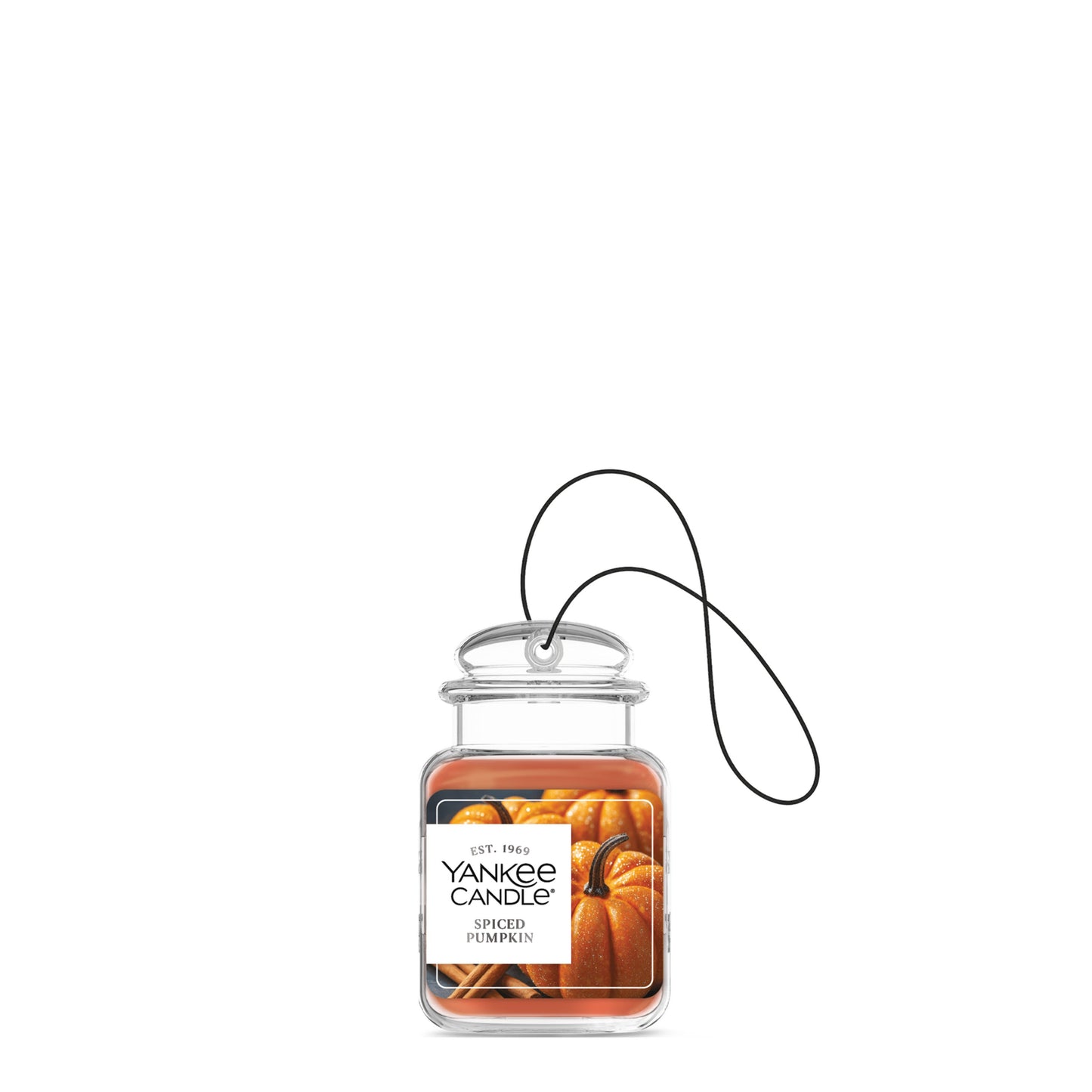 Spiced Pumpkin Blend 9-0231